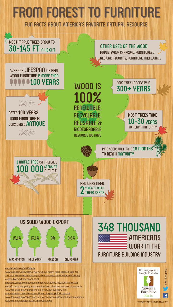 Facts about wood
